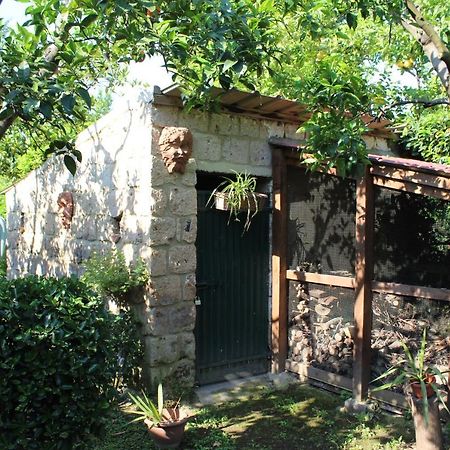 Residenza Caserta Sud - Appartamento Con Giardino Extérieur photo