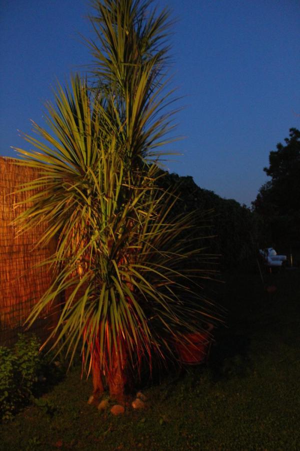 Residenza Caserta Sud - Appartamento Con Giardino Extérieur photo