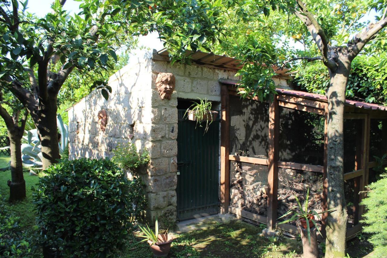 Residenza Caserta Sud - Appartamento Con Giardino Extérieur photo