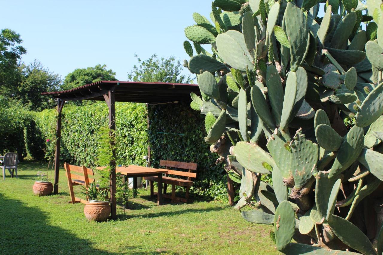 Residenza Caserta Sud - Appartamento Con Giardino Extérieur photo