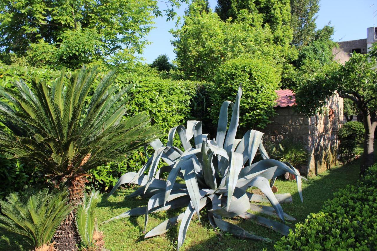 Residenza Caserta Sud - Appartamento Con Giardino Extérieur photo
